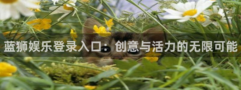 sbobet利记可靠吗：蓝狮娱乐登录入口：创意与活力的无限可能