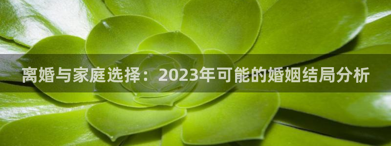 壹号大舞台：离婚与家庭选择：2023年可能的婚姻结局分析