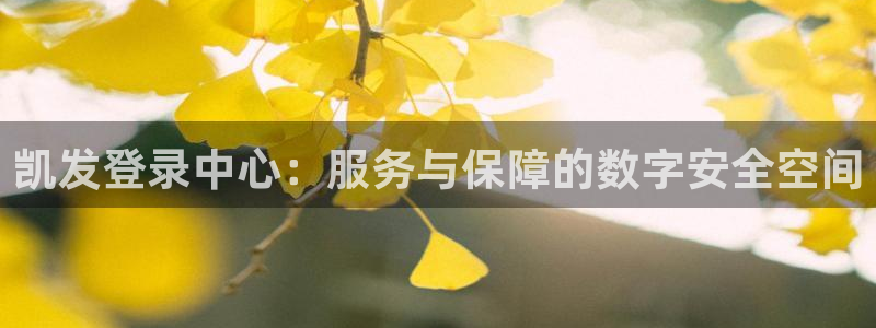 sbobet利记在线预测：凯发登录中心：服务与保障的数字安全空间