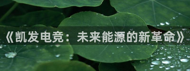 sbobet利记平台官网入口下载：《凯发电竞：未来能源的新革命》