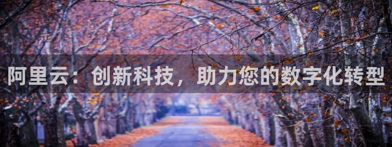 sbobet利记注册网站：阿里云：创新科技，助力您的数字化转型