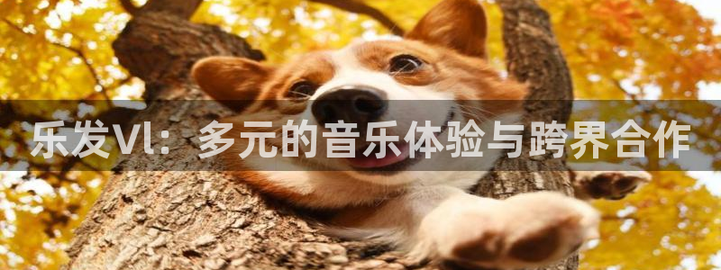 sbobet利记vip麻将胡了：乐发∨l：多元的音乐体验与跨界合作