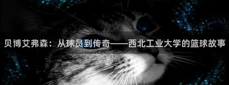sbobet利记网站：贝博艾弗森：从球员到传奇——西北工业大学的篮球故事