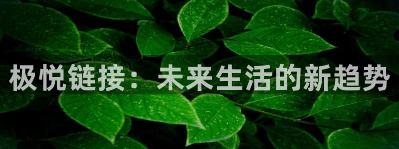 壹号电子娱乐app下载安装最新版本：极悦链接：未来生活的新趋势