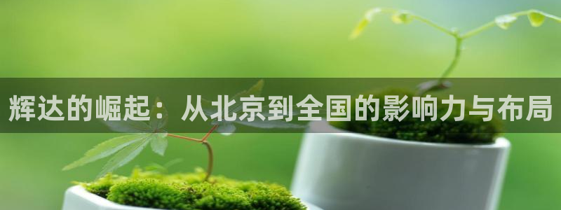 sbobet利记app下载：辉达的崛起：从北京到全国的影响力与布局