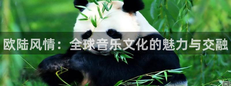 sbobet利记下载地址：欧陆风情：全球音乐文化的魅力与交融