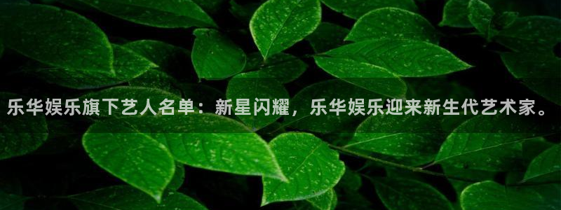 壹号注册入口app下载