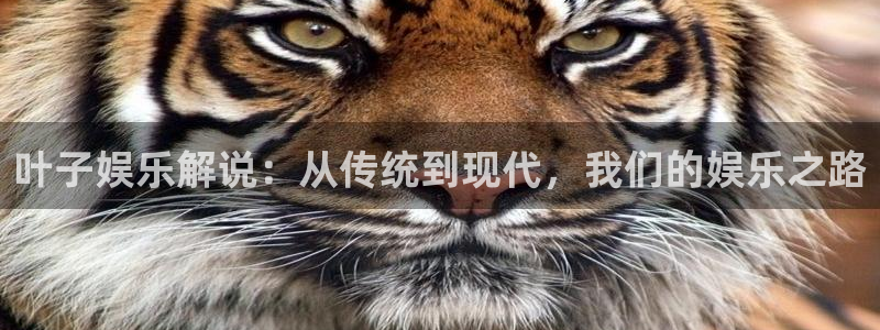 sbobet利记平台