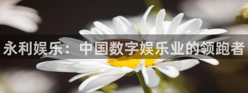 sbobet利记账号注册