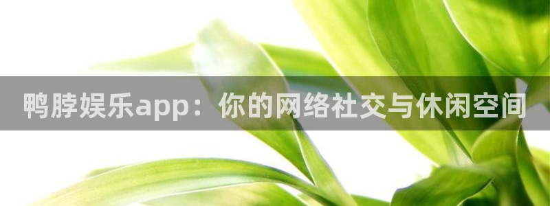 壹号大舞台下载链接