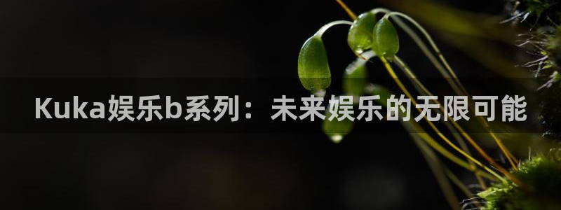 sbobet利记平台下载入口