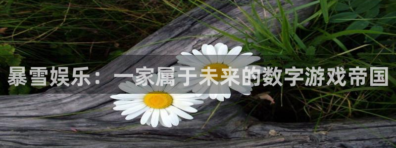 sbobet利记充值怎么退款