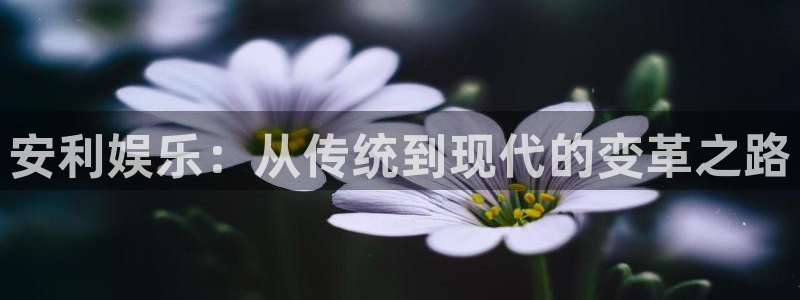 壹号下载官网入口