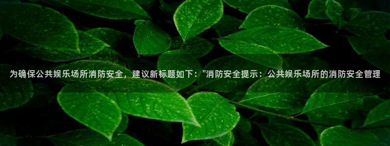 sbobet利记官方app下载安装：为确保公共娱乐场所消防安全，建议新标题如下：\