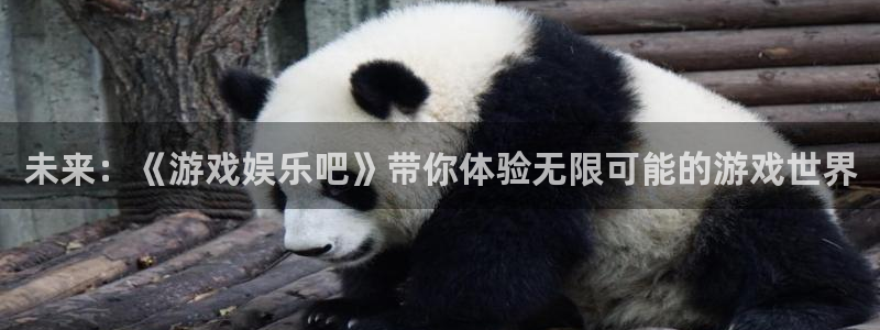 苹果版sbobet利记下载安装：未来：《游戏娱乐吧》带你体验无限可能的游戏世界