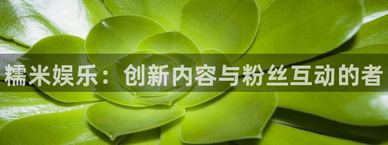 sbobet利记平台官方入口下载：糯米娱乐：创新内容与粉丝互动的者