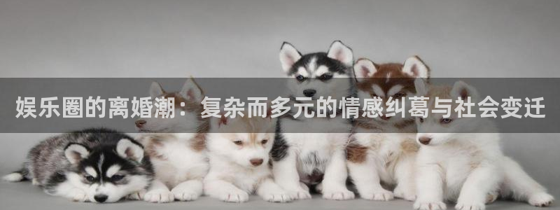 sbobet利记游戏试玩：娱乐圈的离婚潮：复杂而多元的情感纠葛与社会变迁