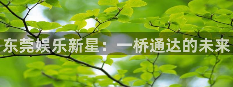 sbobet利记下载：东莞娱乐新星：一桥通达的未来