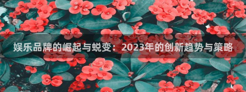 sbobet利记app新版上线体验.游戏更新入口.中国：娱乐品牌的崛起与蜕变：2023年的创新趋势与策略