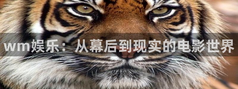 sbobet利记预测pc在线预测网址：wm娱乐：从幕后到现实的电影世界