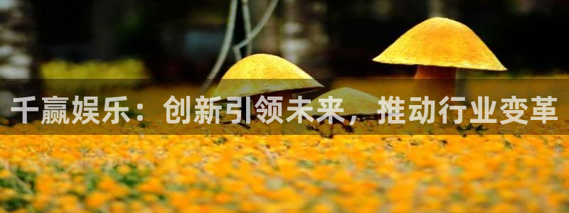 sbobet利记平台链接：千赢娱乐：创新引领未来，推动行业变革