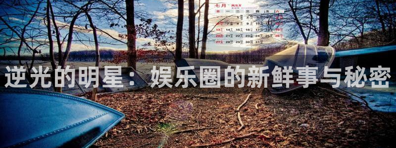 壹号app下载链接：逆光的明星：娱乐圈的新鲜事与秘密