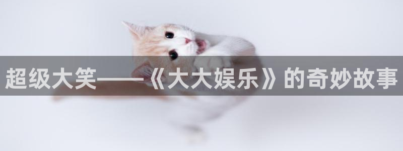 壹号注册入口app下载