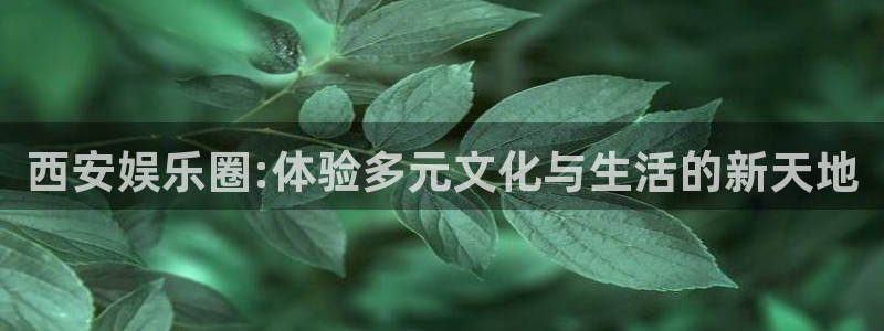 sbobet利记吧