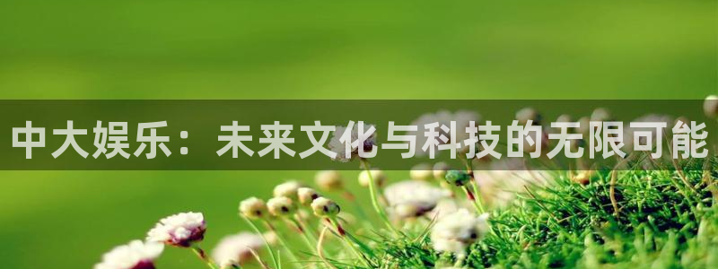 伟德国际集团 壹号(one game)