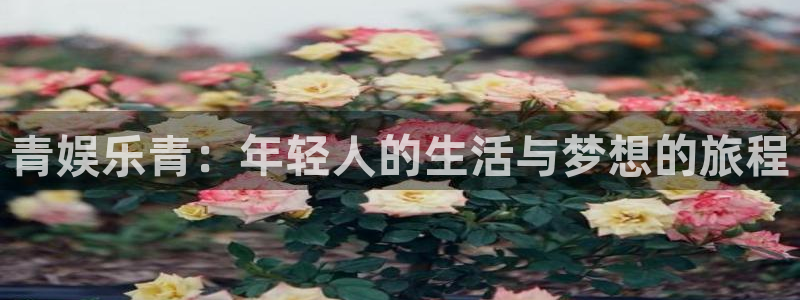 sbobet利记app：青娱乐青：年轻人的生活与梦想的旅程